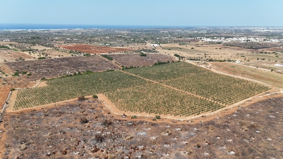 Giano Group Immobiliare